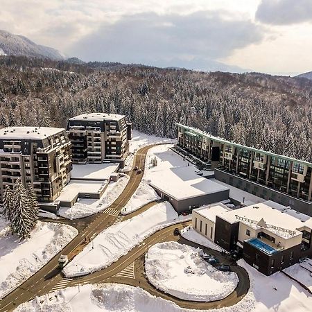 Twin Studio Silver Mountain Пояна-Брашов Экстерьер фото