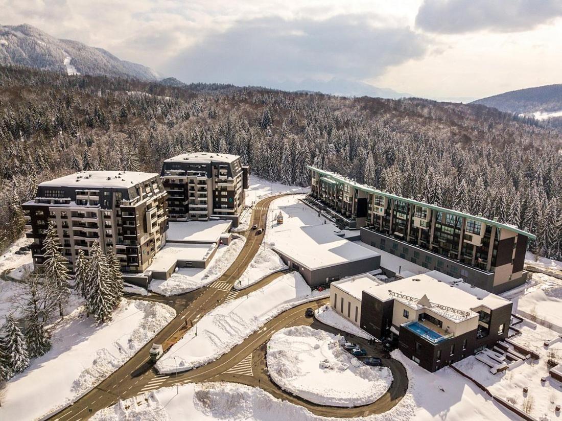 Twin Studio Silver Mountain Пояна-Брашов Экстерьер фото