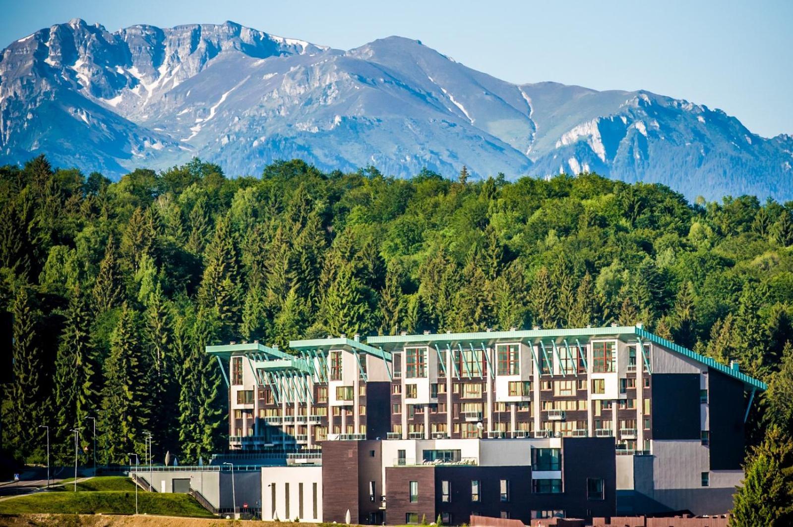 Twin Studio Silver Mountain Пояна-Брашов Экстерьер фото