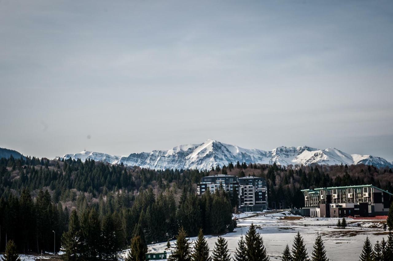 Twin Studio Silver Mountain Пояна-Брашов Экстерьер фото