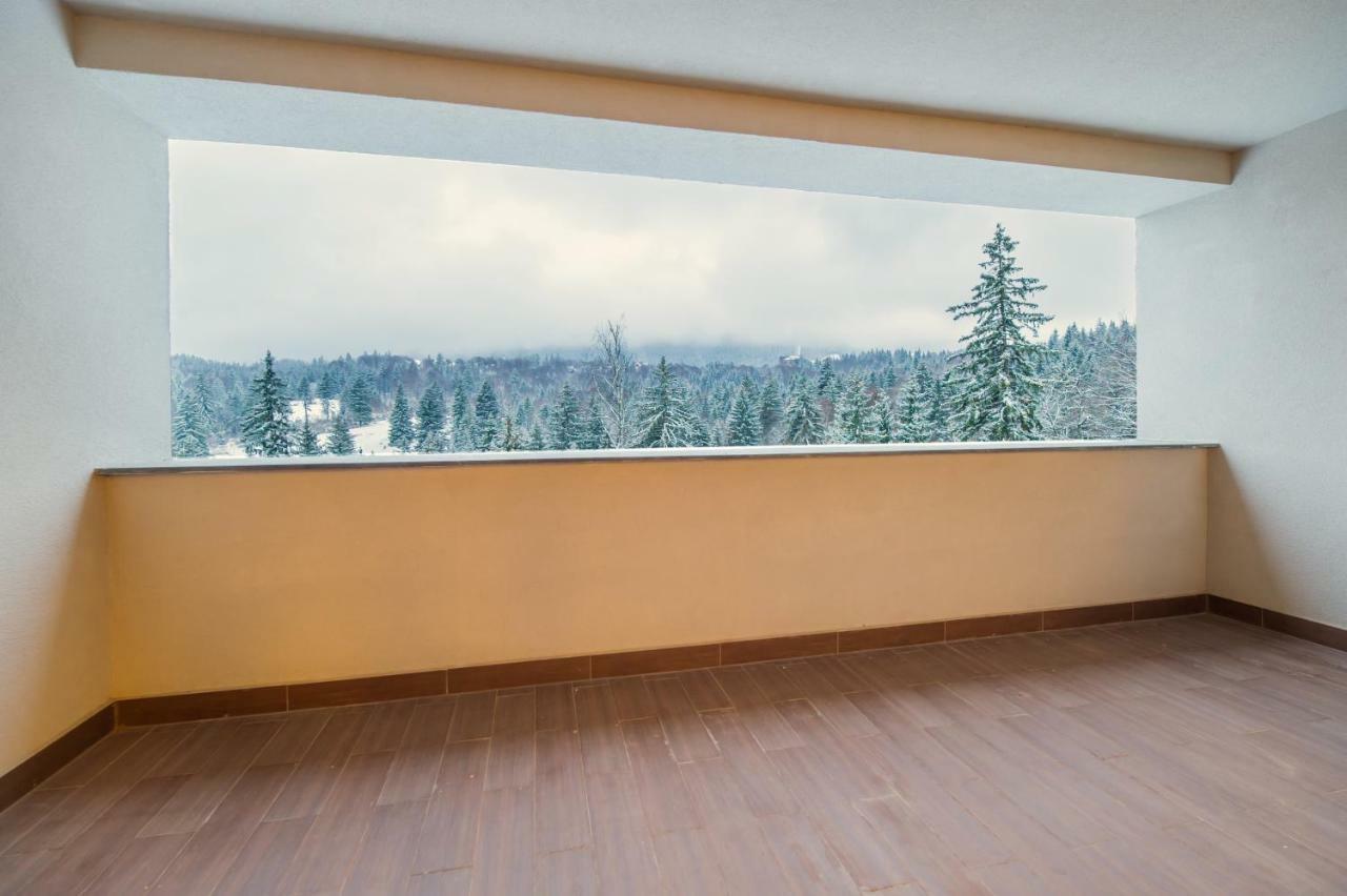 Twin Studio Silver Mountain Пояна-Брашов Экстерьер фото