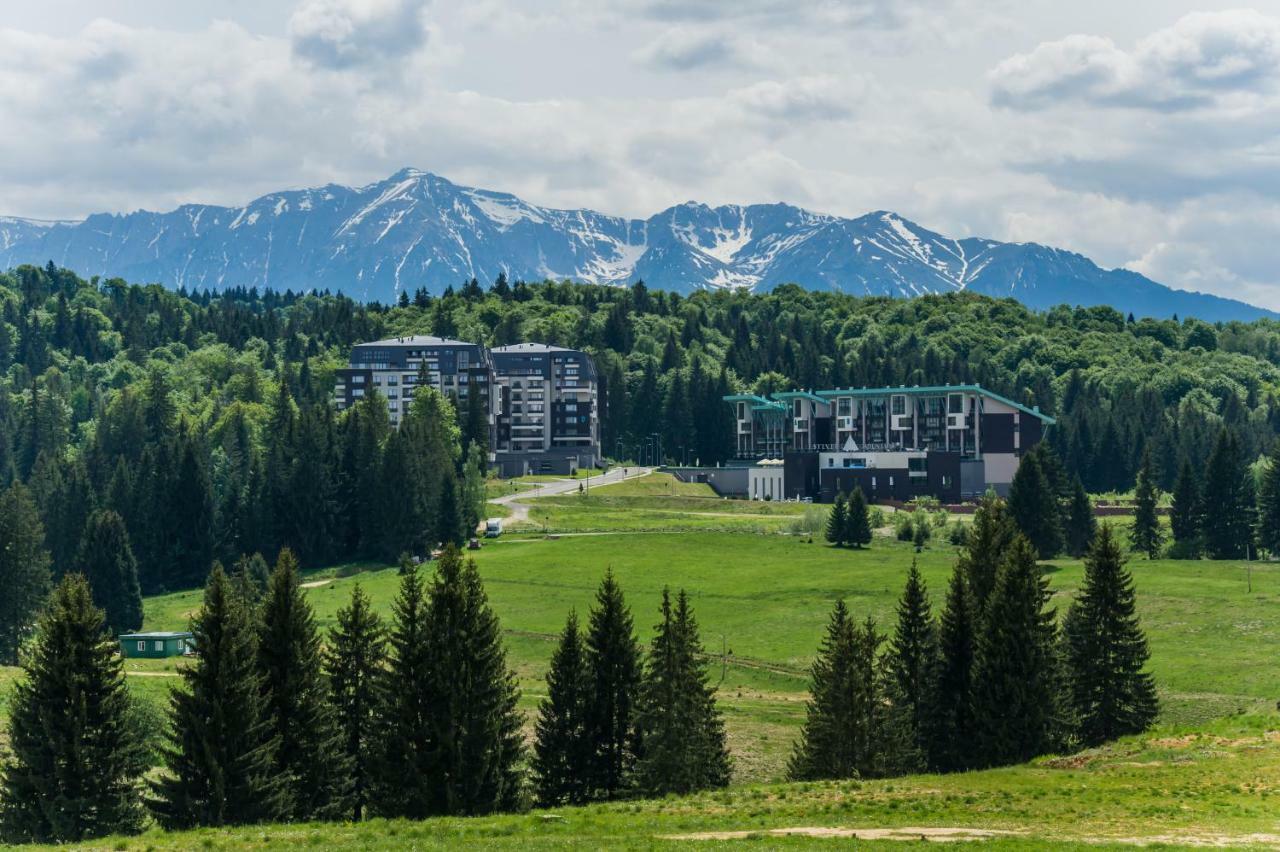 Twin Studio Silver Mountain Пояна-Брашов Экстерьер фото