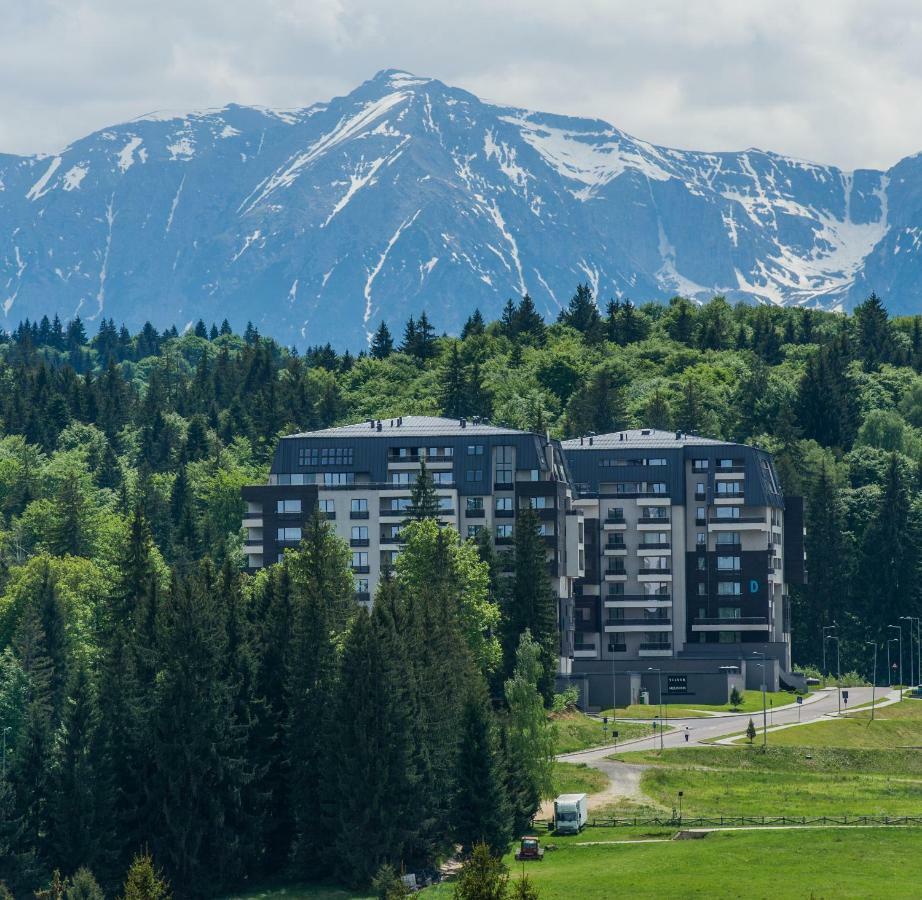 Twin Studio Silver Mountain Пояна-Брашов Экстерьер фото