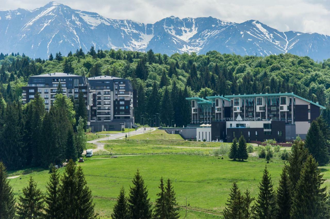 Twin Studio Silver Mountain Пояна-Брашов Экстерьер фото